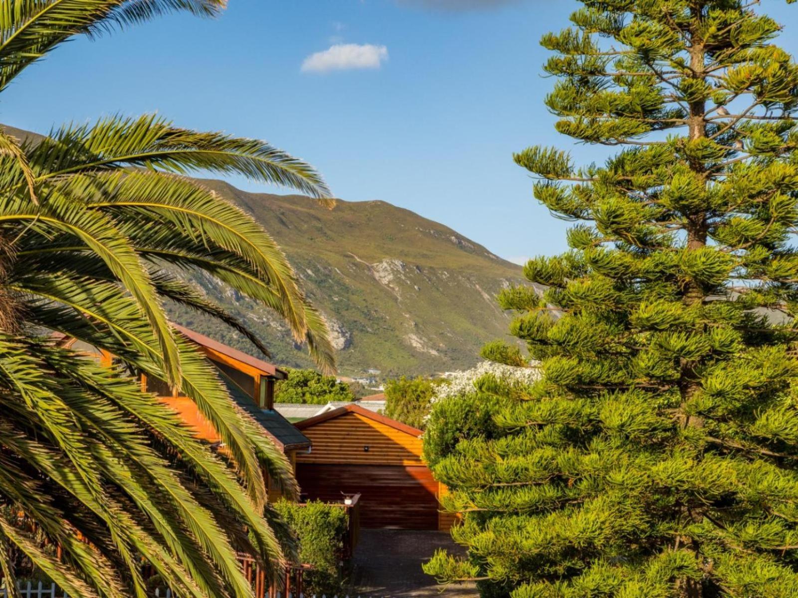 Two Palm House - Vermont Hermanus Rum bild