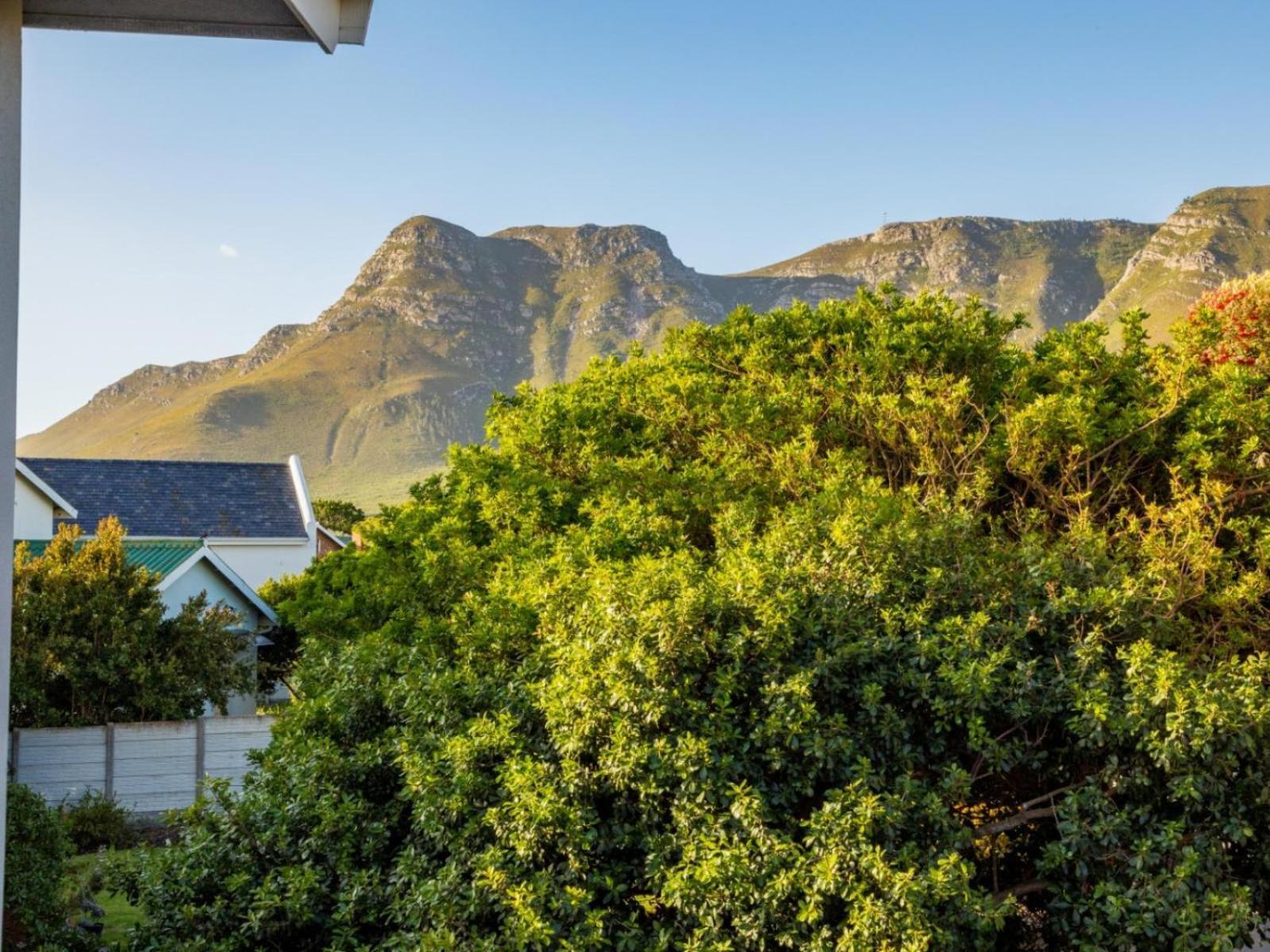 Two Palm House - Vermont Hermanus Rum bild