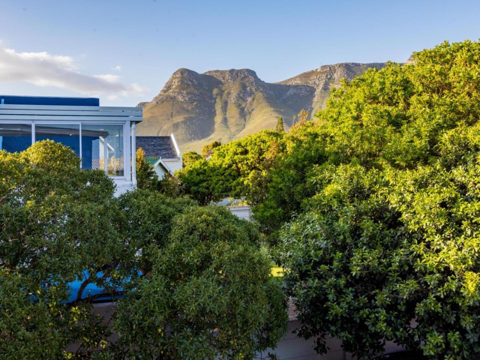 Two Palm House - Vermont Hermanus Rum bild